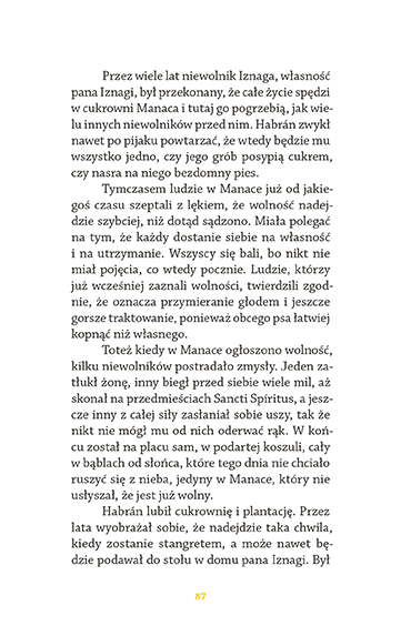 rozdział - strona 88
